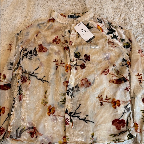 anewsta Floral Sheer Blouse - Cream - Picture 5 of 8